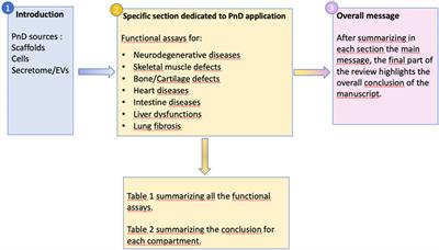 General consensus on multimodal functions and validation analysis of perinatal derivatives for regenerative medicine applications